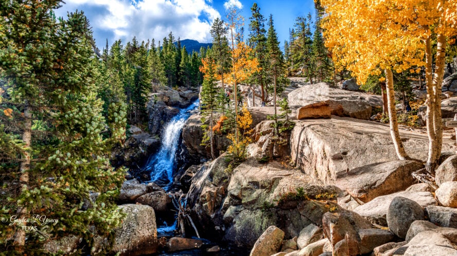 Autumn views and yellowing leaves at Alberta Falls.