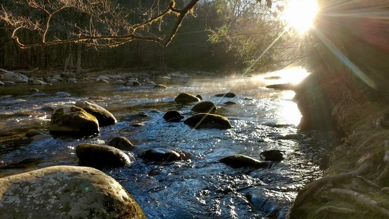 Cascades Smokies trip