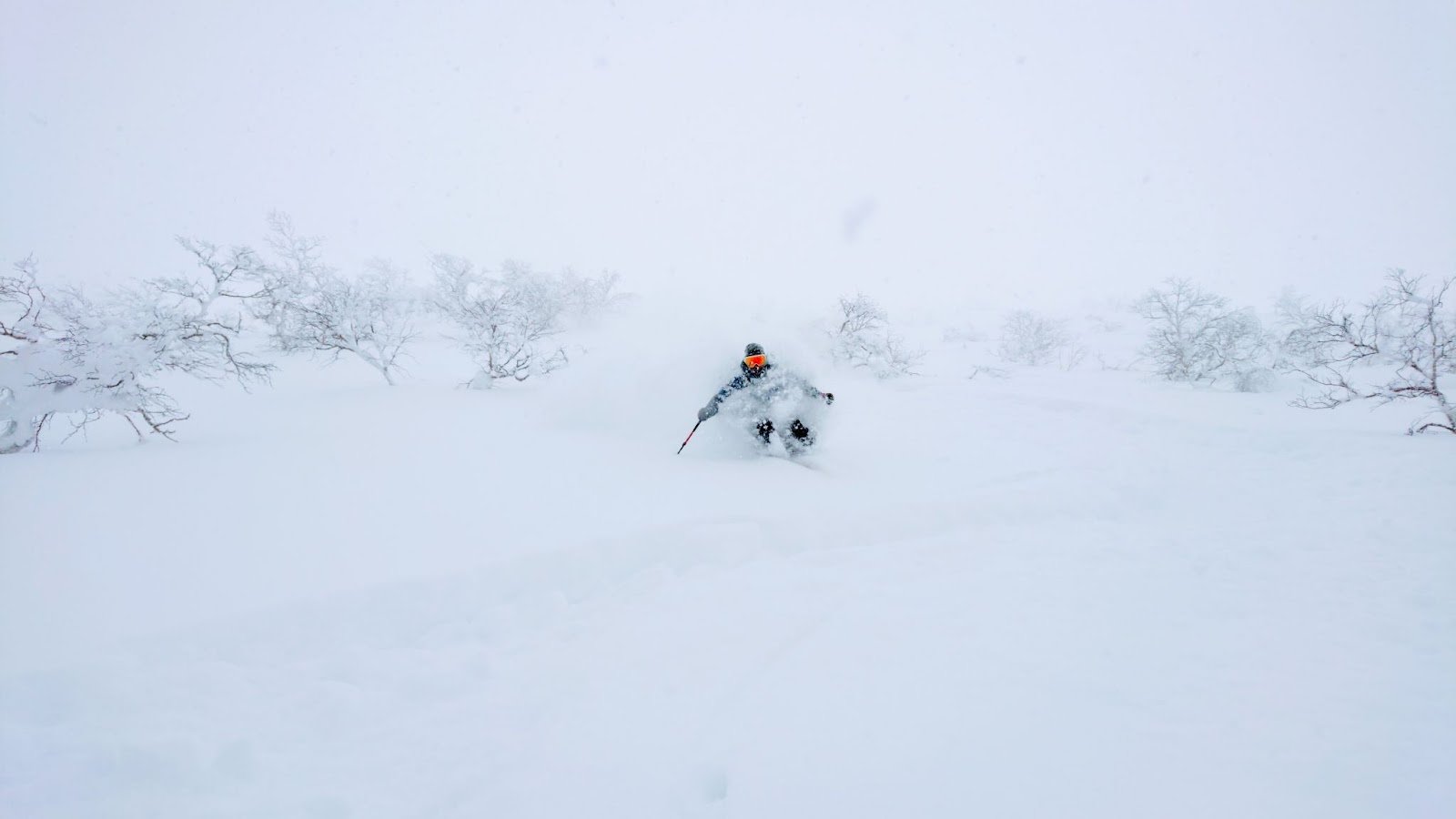 Extreme pro skier shredding the deep powder snow in the sunny Japanese mountains. Cool shot of an active male tourist skiing off piste and carving down the untouched mountain. Awesome winter sport.