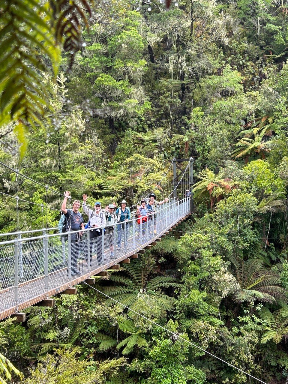 Abel Tasman Bridge