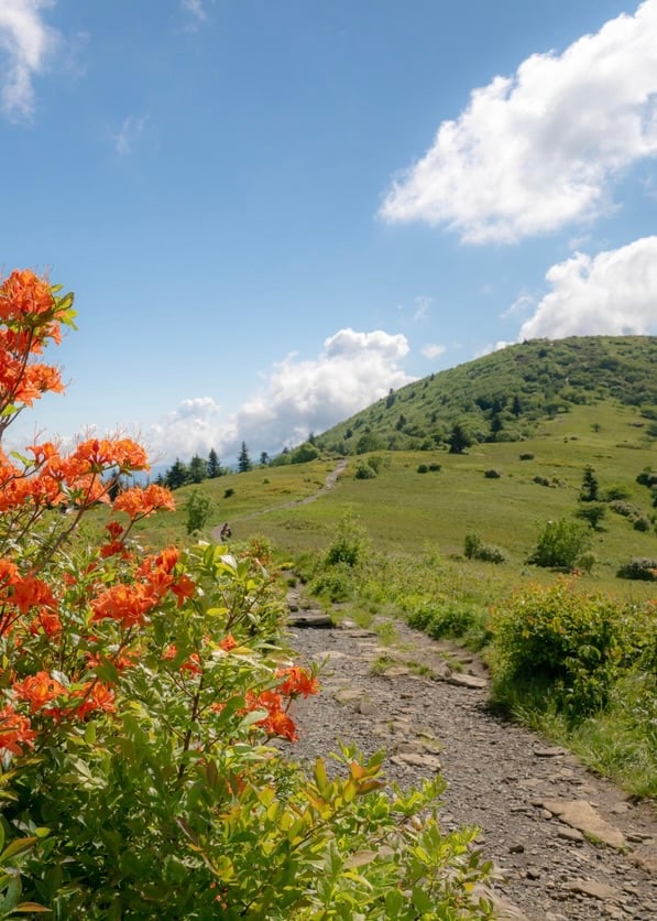 Hiking part Appalachian