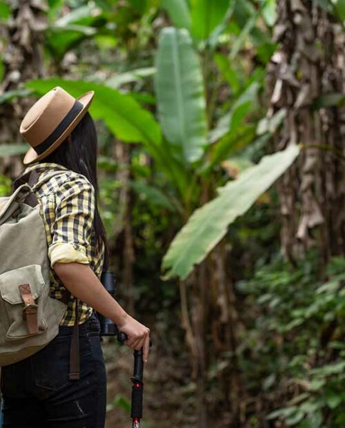 Guided 1-Day Hiking Tours, Corcovado, Costa Rica