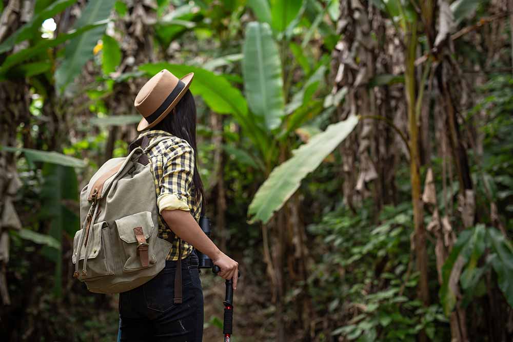 Guided 1-Day Hiking Tours, Corcovado, Costa Rica