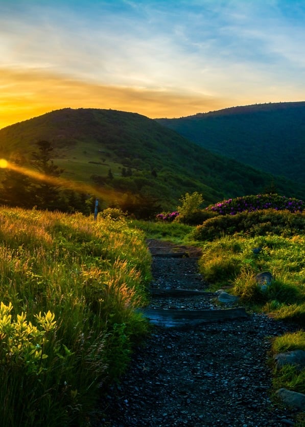Roan Appalachian hike