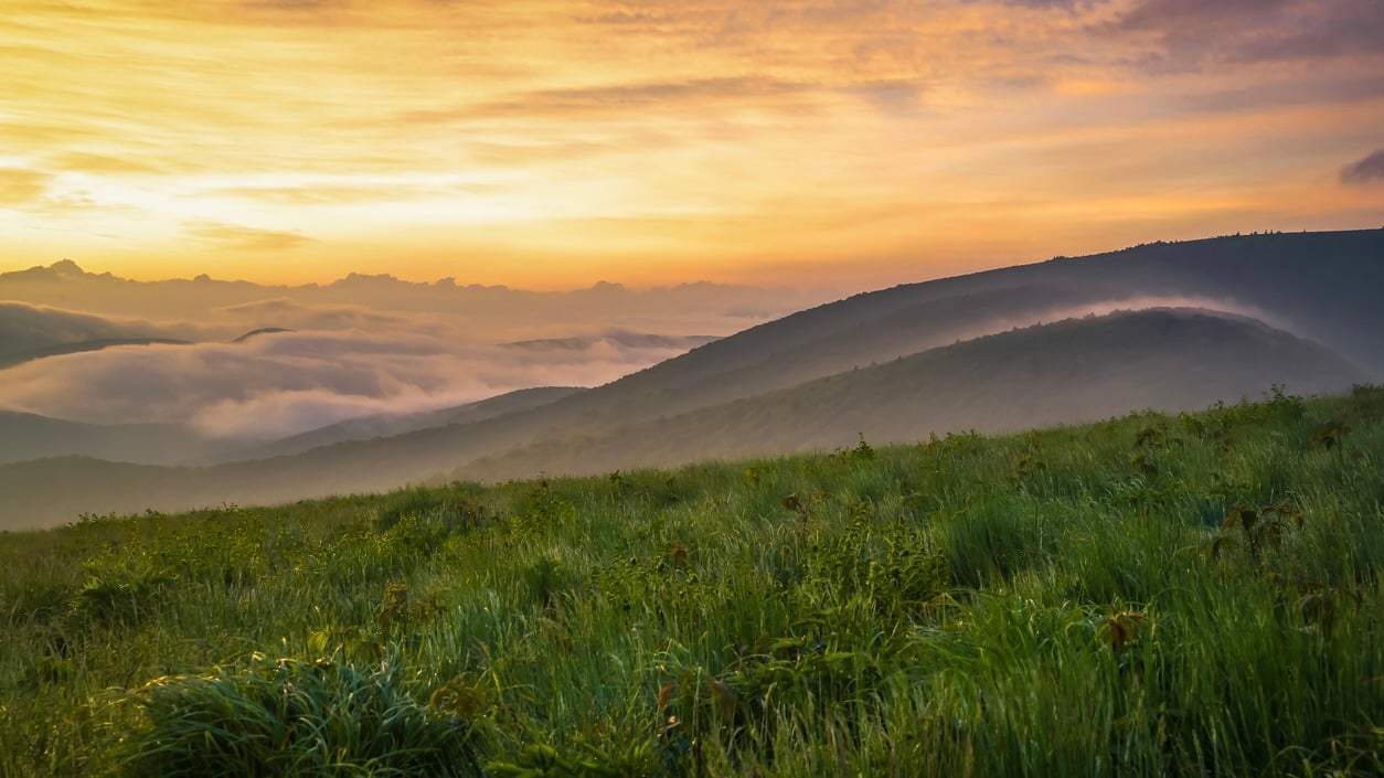 Roan Highlands hike