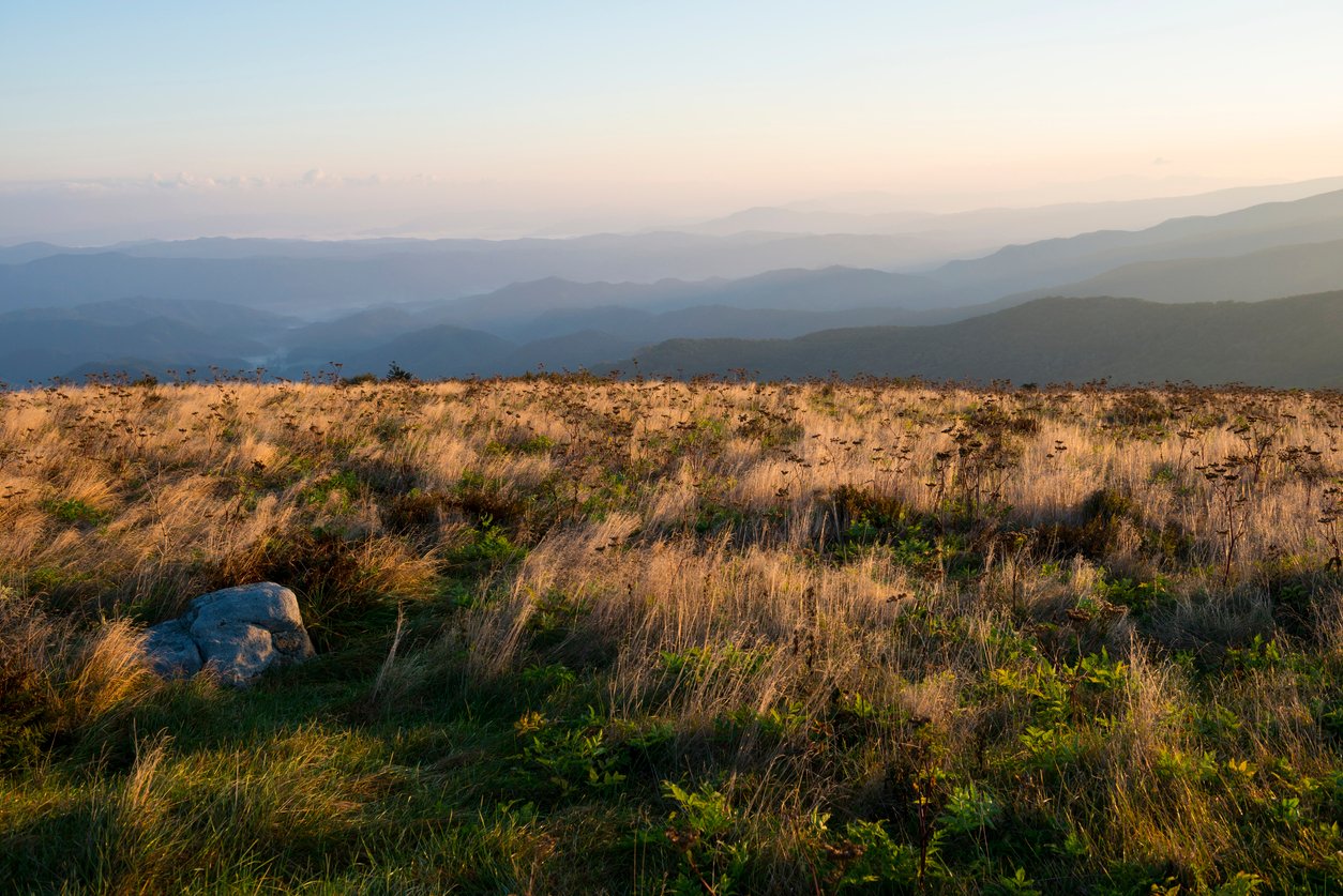 Roan Highlands hiking