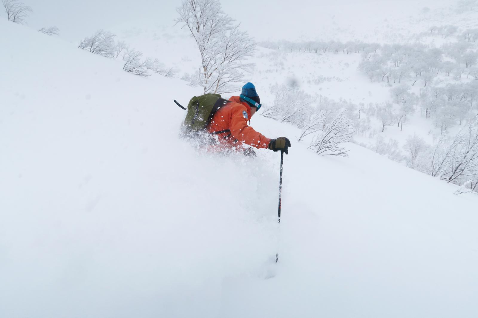 A skier shredding #japow on a brisk January day. The skier is surrounded by dry champagne powder