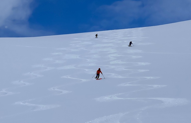 Skier making lines in snow in Svalbard