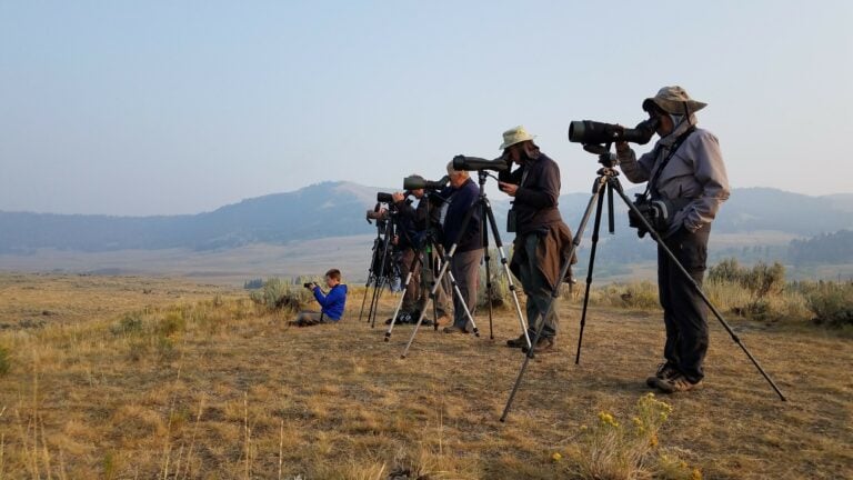 With long-range optics and expert knowledge of animal behavior, no critter is off limits. You’ll be seeing the Yellowstone others don’t.