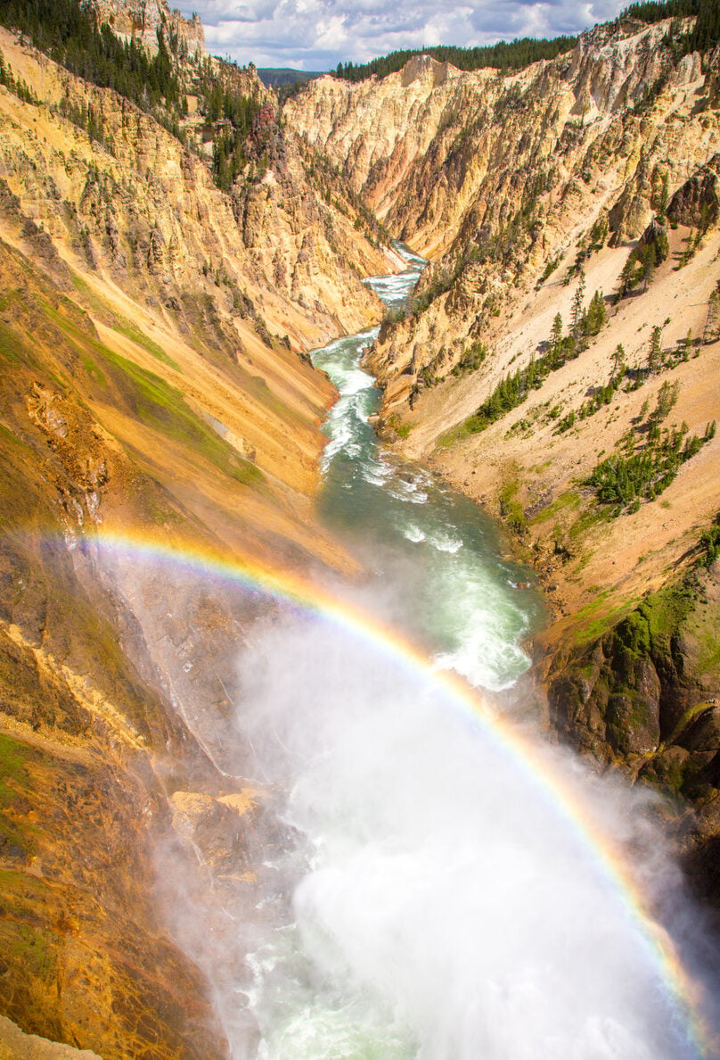 A rainbow emerges from the mist of the Lower Yellowstone Falls as the Yellowstone River flows through the Grand Canyon of the Yellowstone in the background.