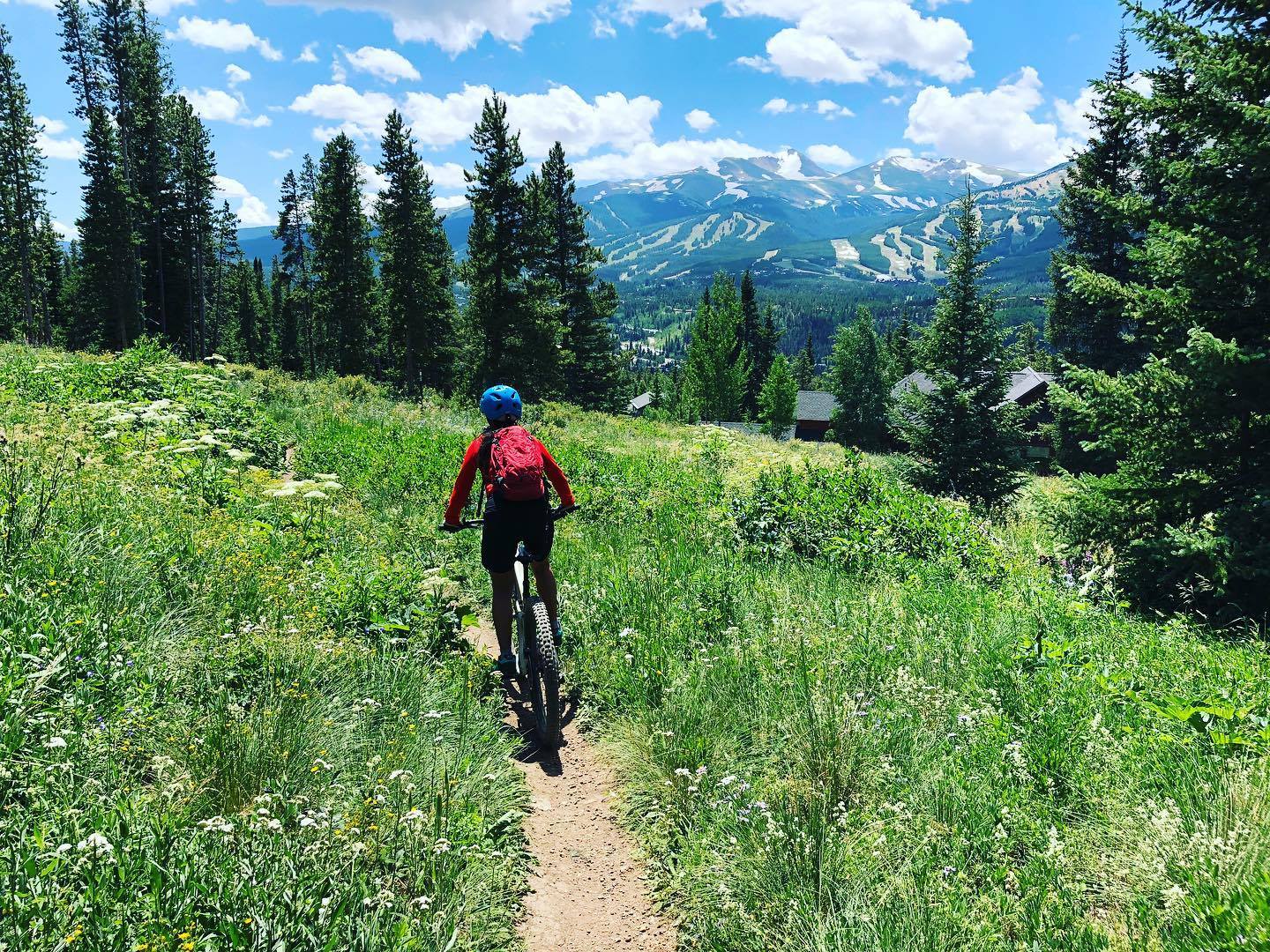 A biker on a grassy trail in Breckenridge
