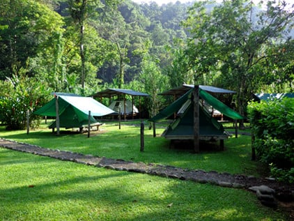 Camping tents in the rainforest of Costa Rica.