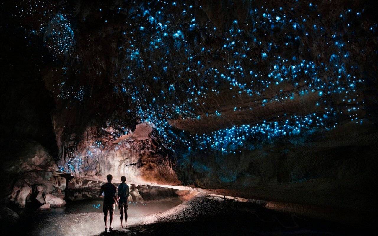 Glowworms in Waitomo caves.