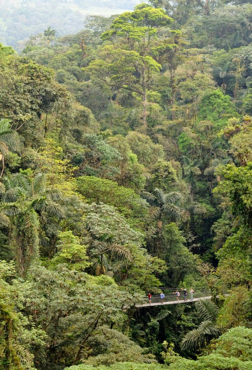 Small group of people walking on typical suspended bridge in Costa Rica.