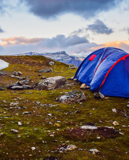 Sail and Explore Svalbard With a Guide | 57hours