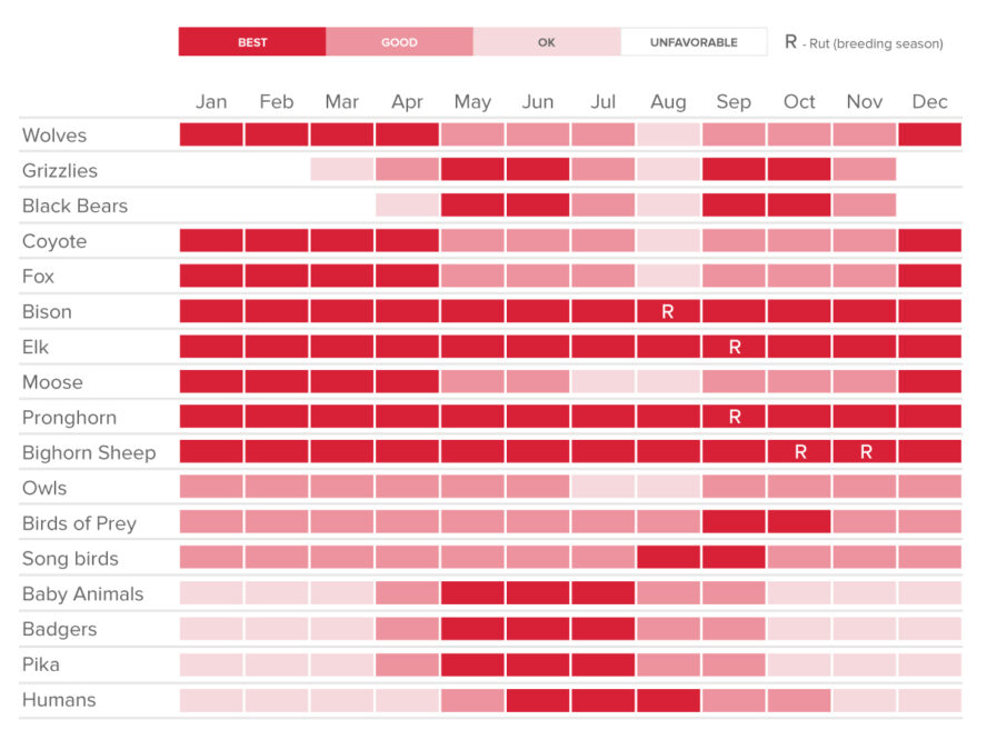 Chart of the best times to visit for wildlife watching in northern Yellowstone.