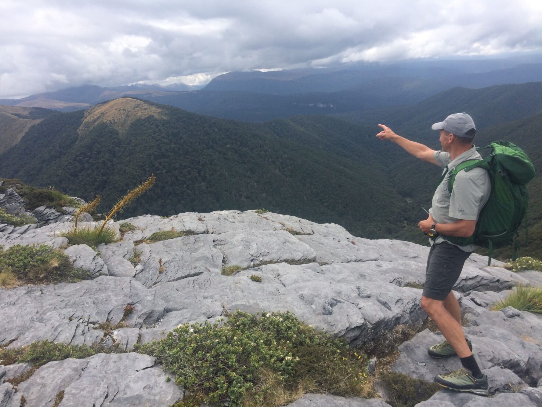 Hiking Mt Arthur hut