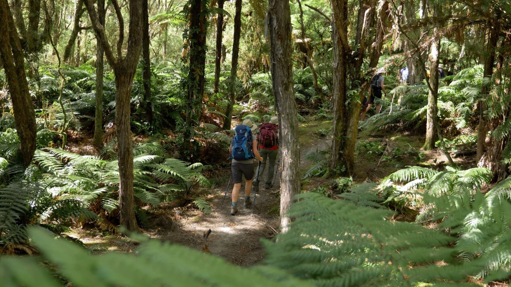 Hiking near Lake Tarawera