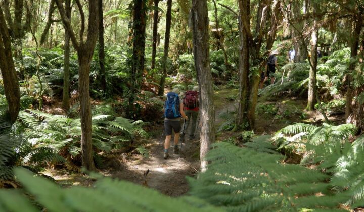 Hiking near Lake Tarawera