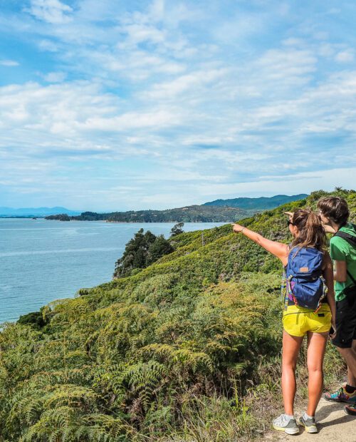 Hiking Tour of the South Island.