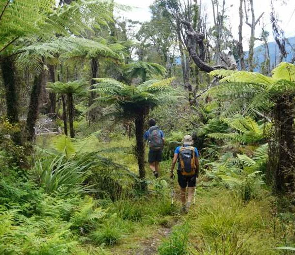 Deluxe Hiking Tour of New Zealand’s South Island