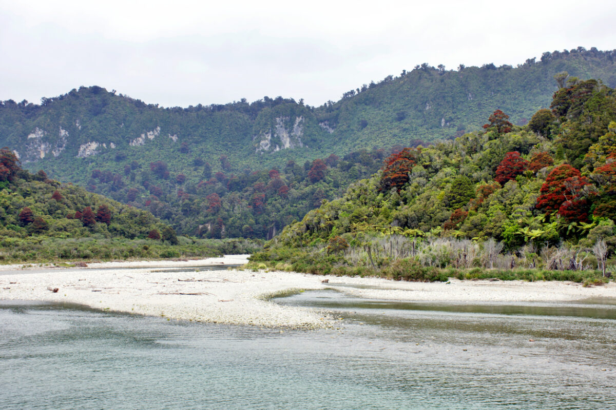 River bank and tree-covered hills in the background. 