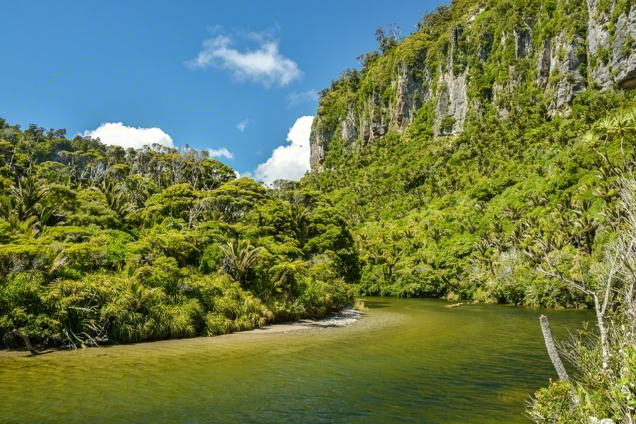 View of the river inside of a rainforest with tropical trees to its left and a steep cliif covered with plants on its right.