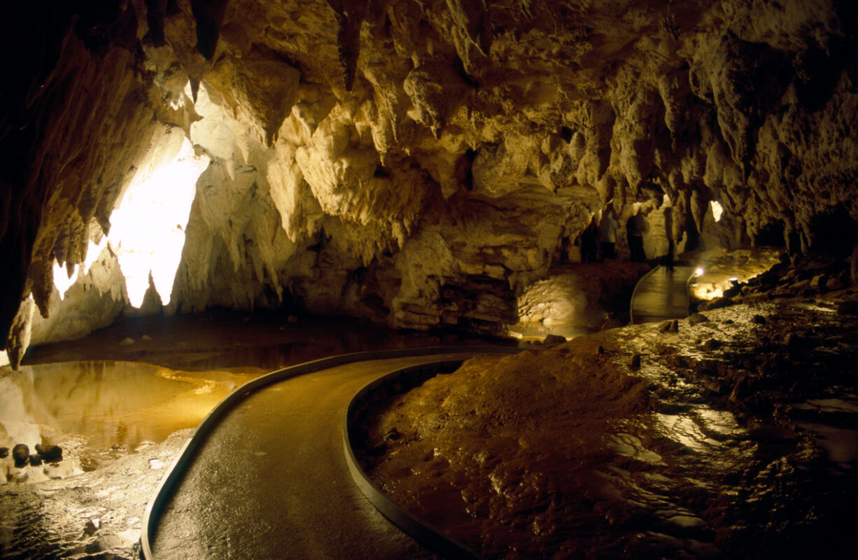 Serpentine path through the cave featuring karst geological formations. 
