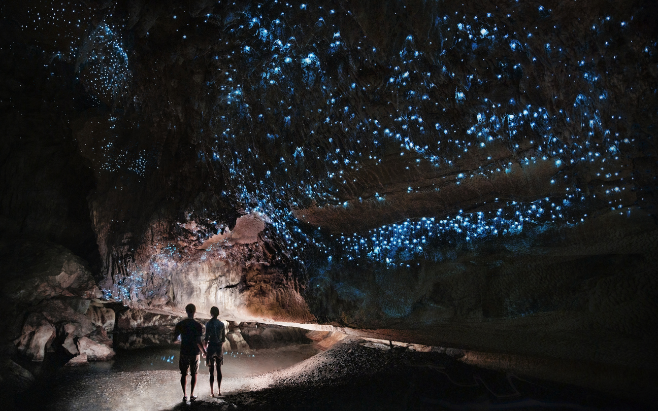 Two people admiring the natural phenomena of glowing worms clinging to cave walls.