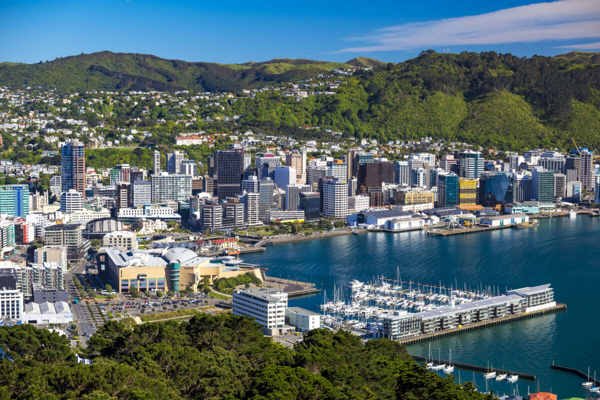 City vedute from the trees and sea in the foreground, skyscrapers in the middle and residential area in the hills in the background. 
