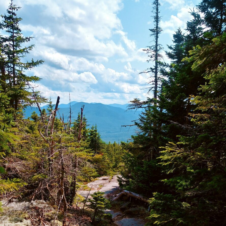 Alternative Summer Hikes to Popular Vermont Peaks - Green Mountain Club