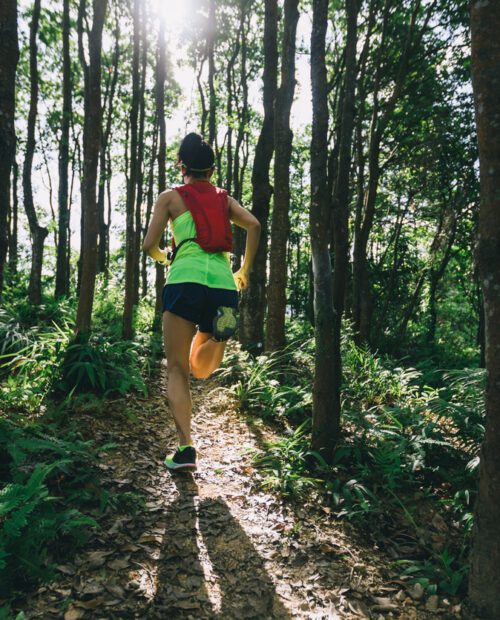 Trail running the Art Loeb Trail.