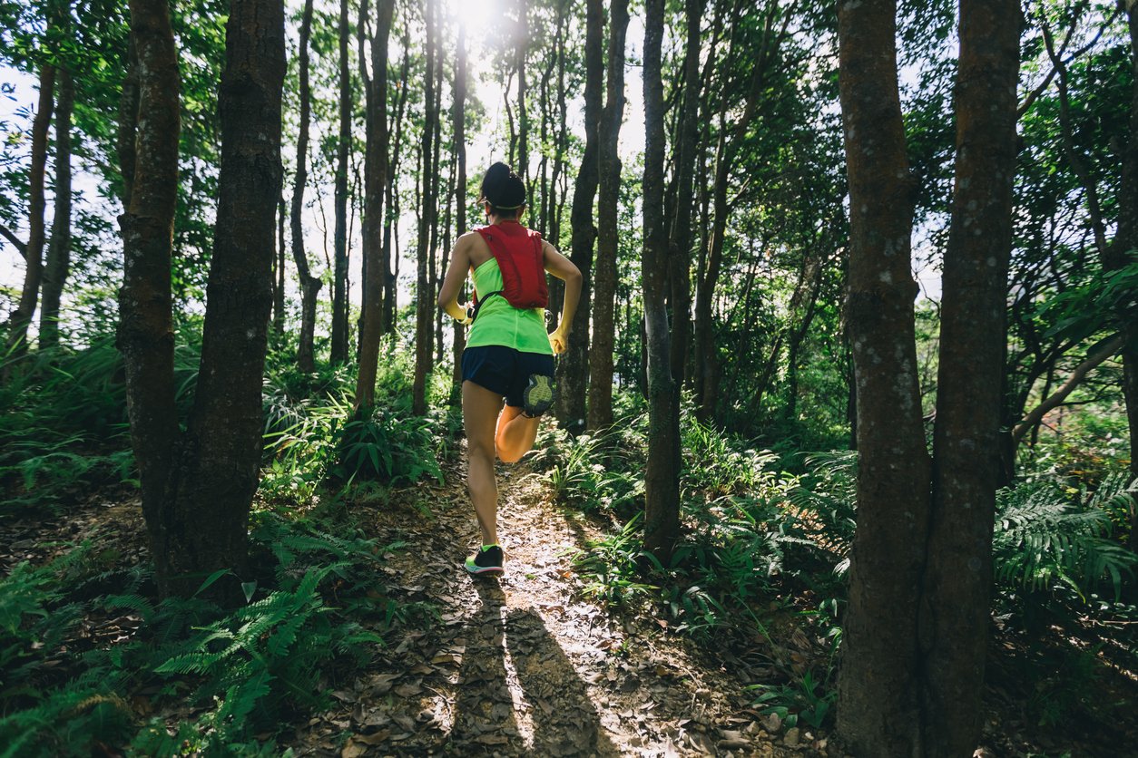 Trail running the Art Loeb Trail.