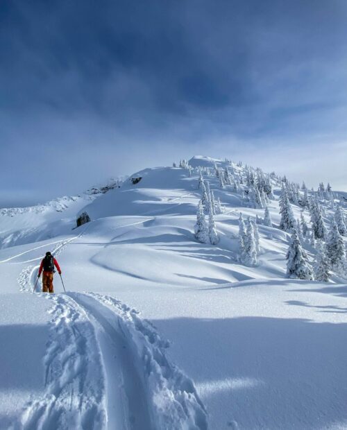 Backcountry skiing at the Carlyle Lodge.