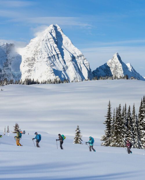 Backcountry Skiing at Purcell Mountain Lodge