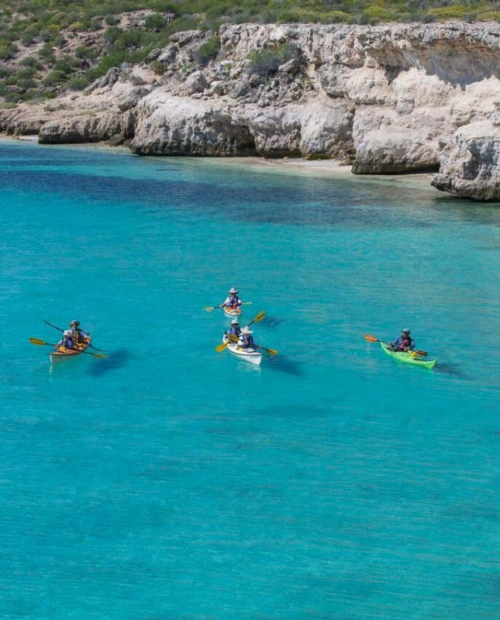 Baja Kayaking Adventure in the Sea of Cortez