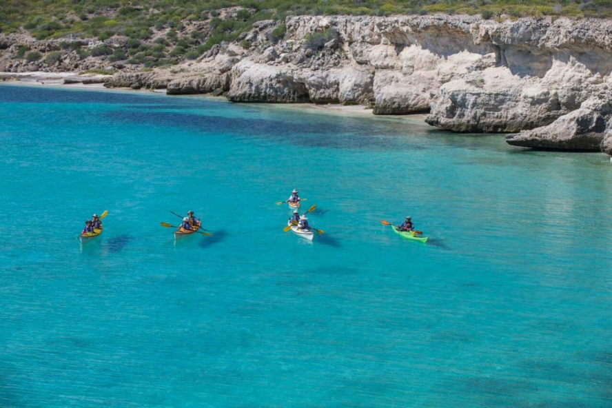 Baja Kayaking Adventure in the Sea of Cortez, Mexico