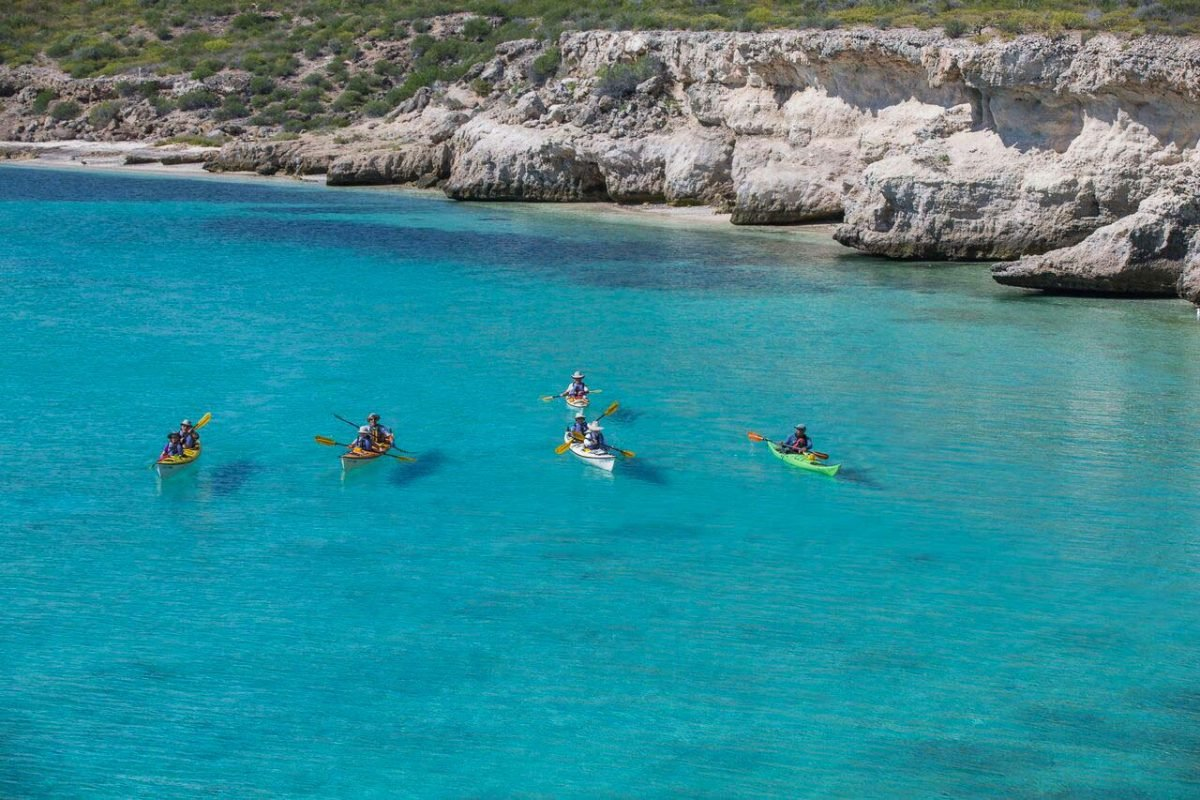 Baja Kayaking Adventure in the Sea of Cortez, Mexico