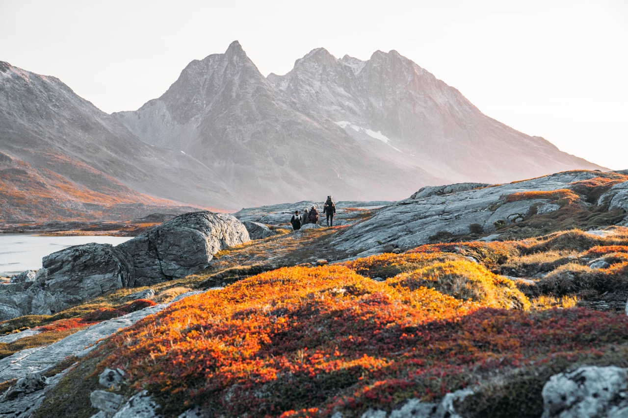 Colorful meadows in front of massive mountains of Greenland