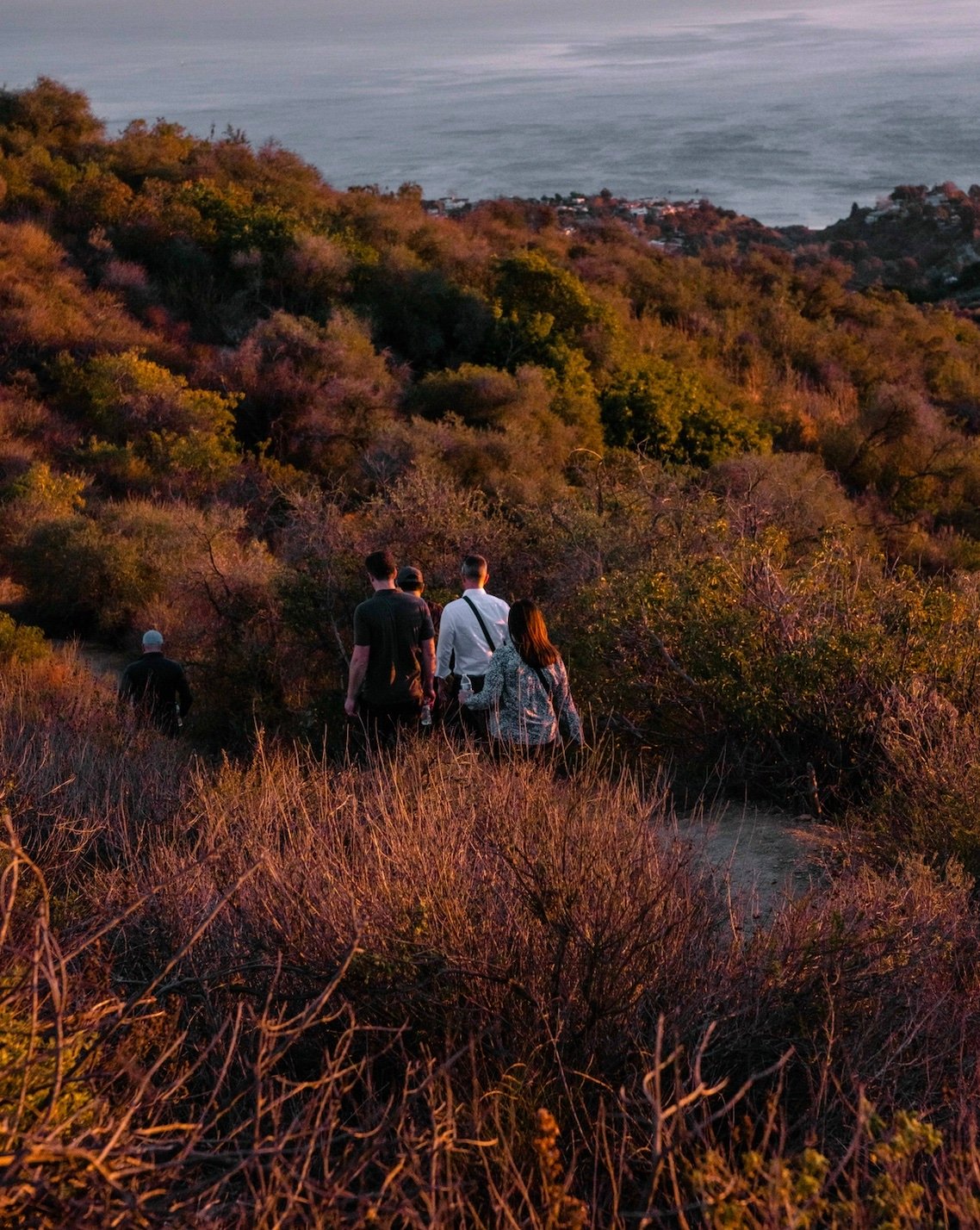 Guided hiking Santa Monica Mountains, Los Angeles