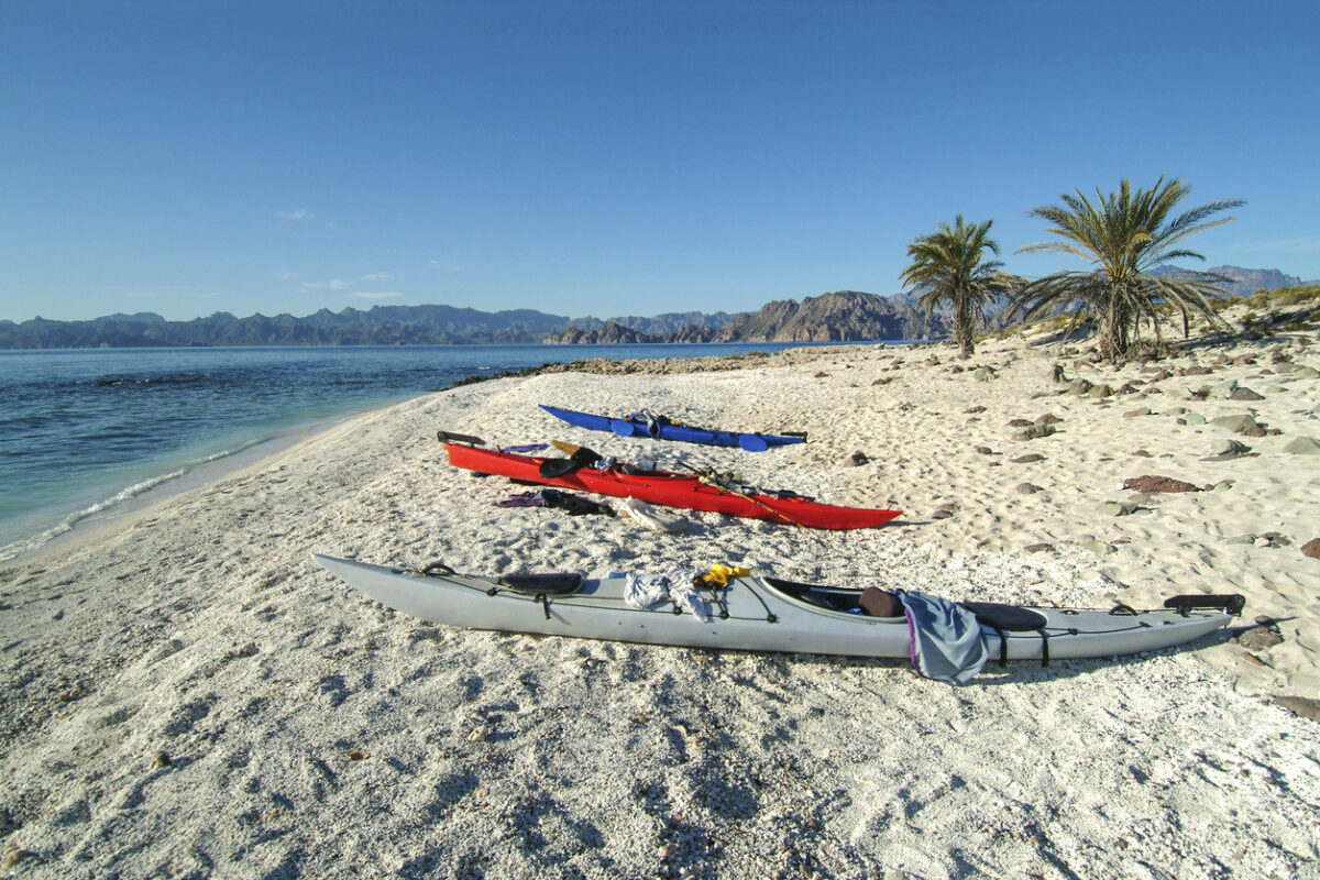 Three kayaks lying on the sand beach right next to the shore. There are palm trees beside the kayaks, on their right, and you can see the rugged seaboard in the distance, on the left side. 