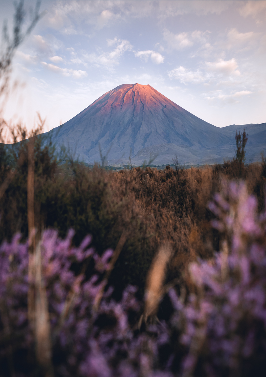 hiking trip nz