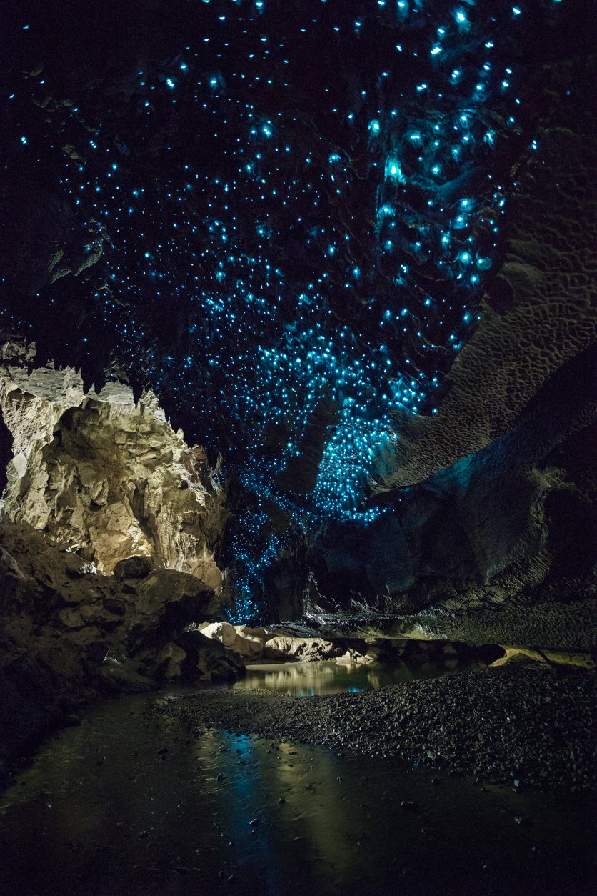 hiking trip nz