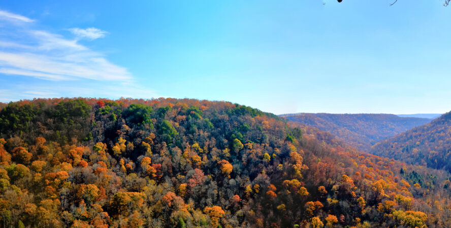 Denny Cove in the fall from the Fiery Gizzard trail.