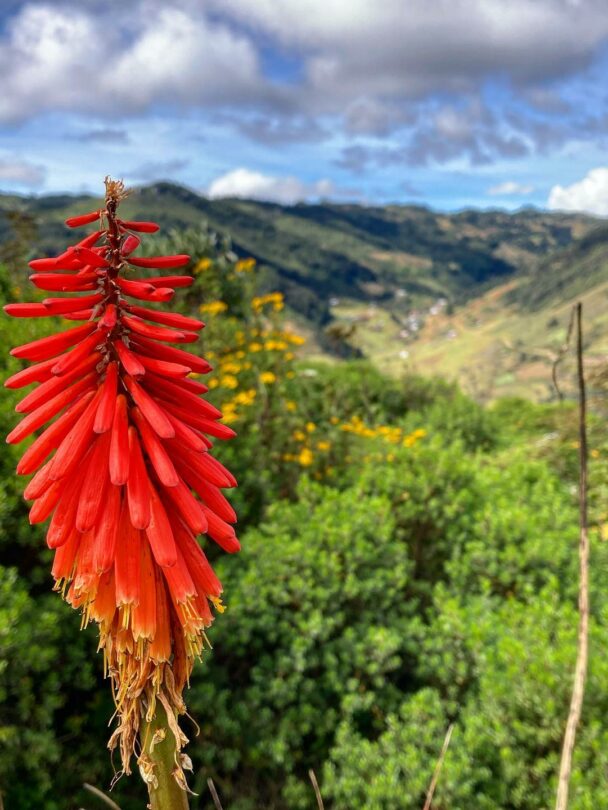 Guatemala Multisport Tour.