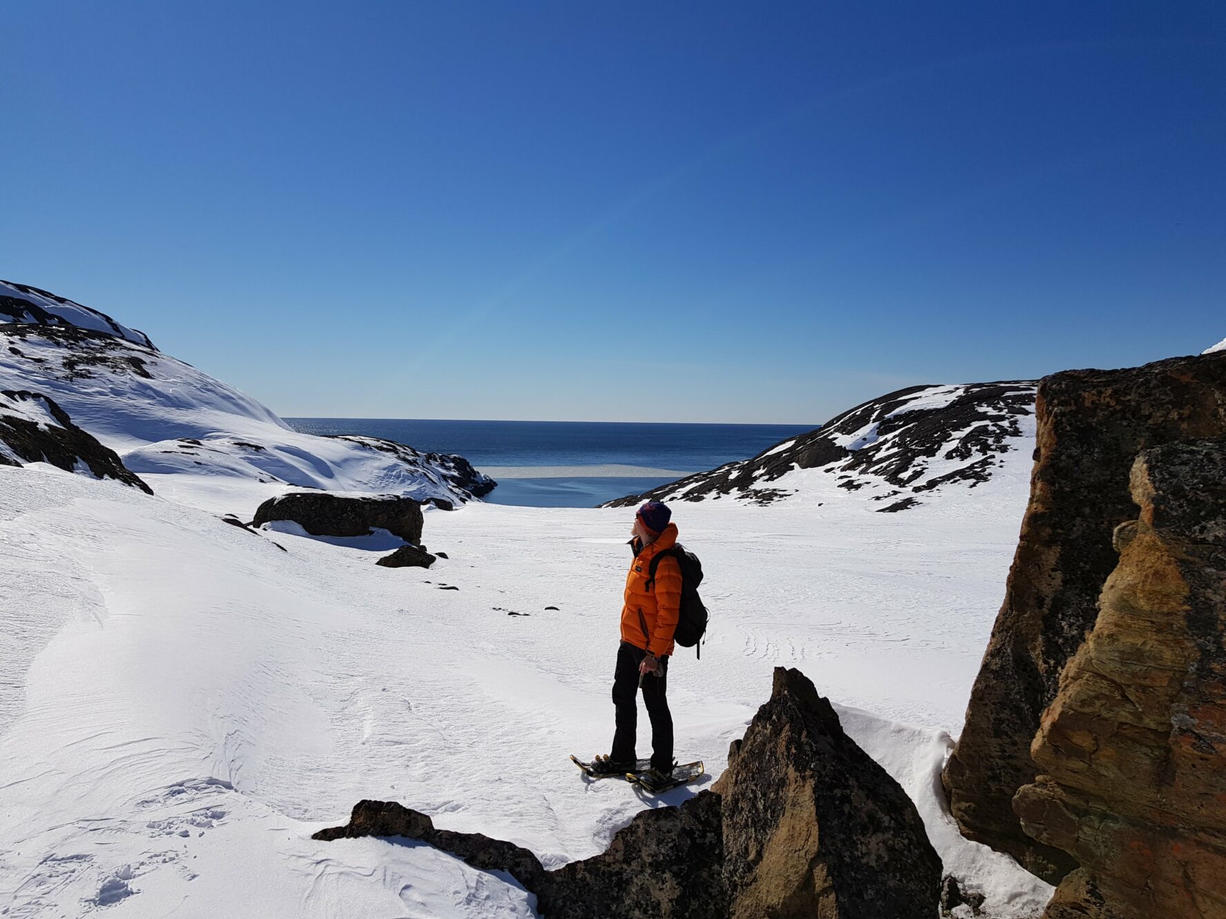 A hiker exploring the wildlife