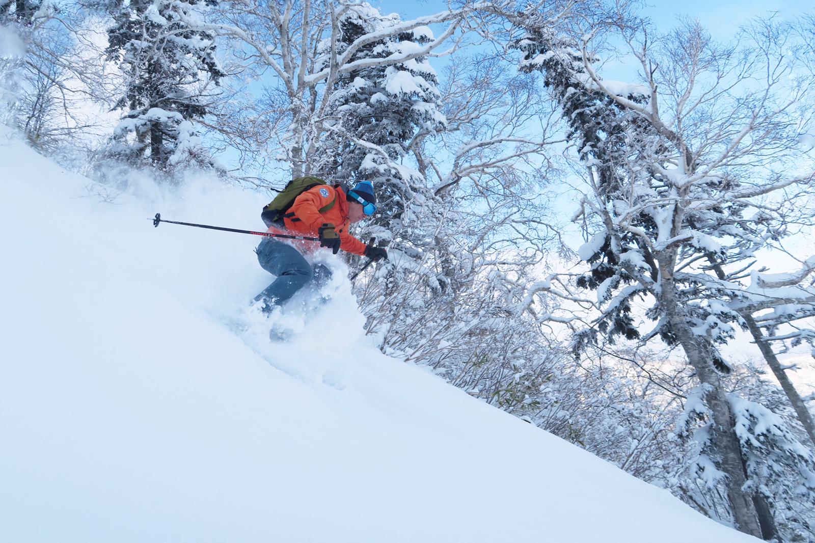 A skier shredding through trees in Hokkaido, Japan.