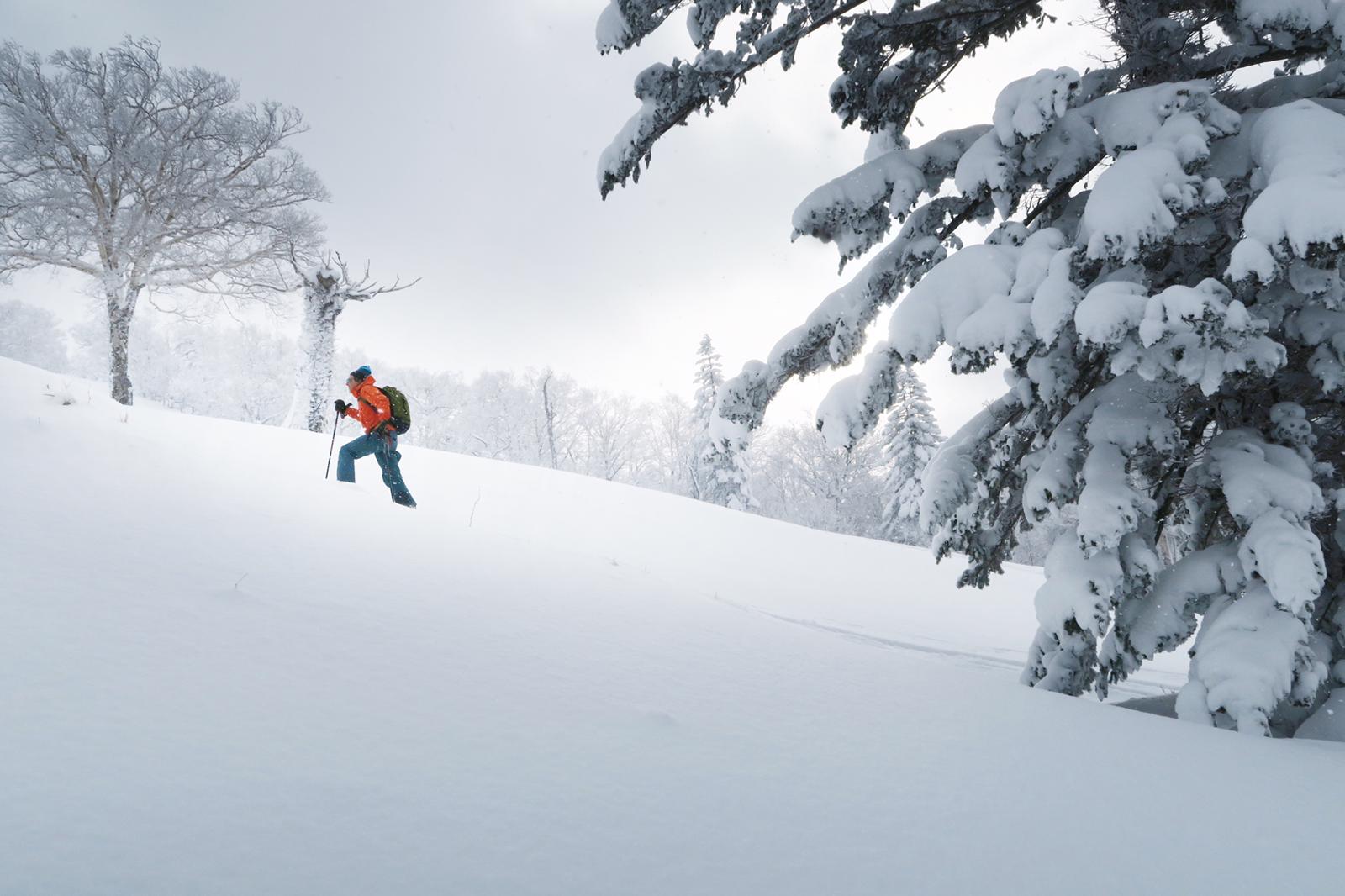 A skier touring uphill in Hokkaido, Japan