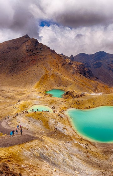 hiking trip nz