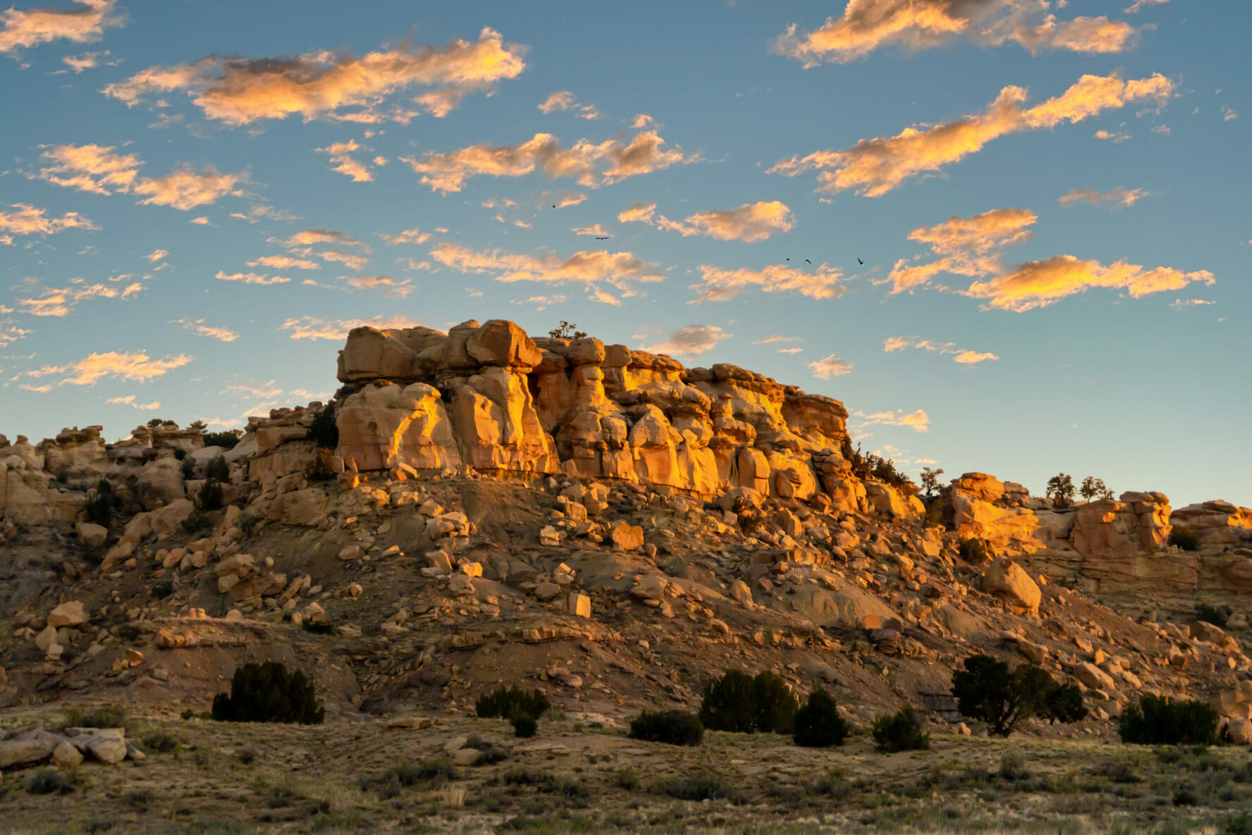 Rocks in New Mexico.